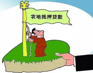 2017年农村养殖贷款政策
